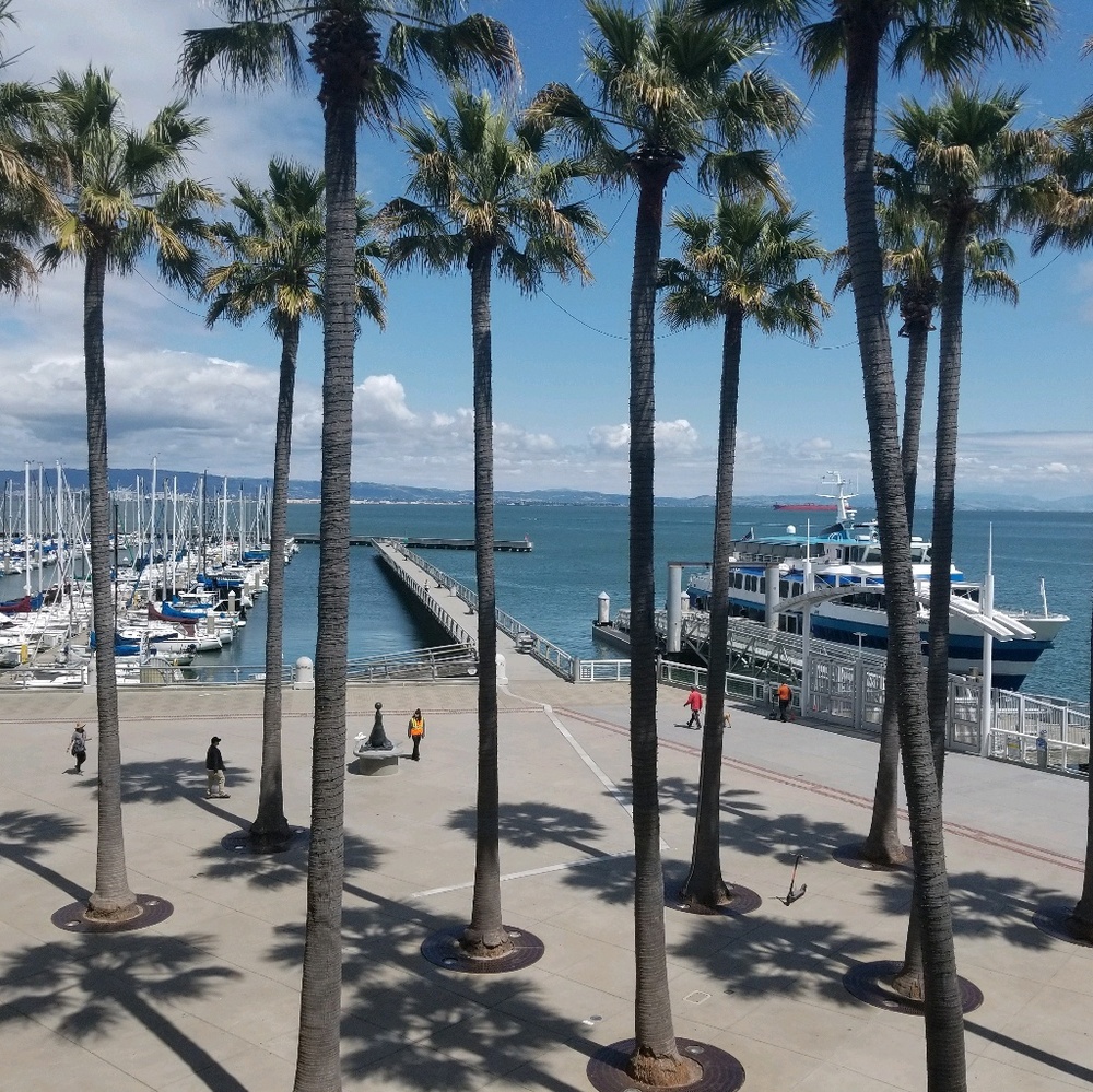 Meet your Posher, Bruce